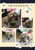 ももちゃん＆はなちゃん♪