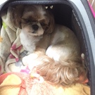 かれんちゃん♪