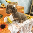 さくらちゃん♪