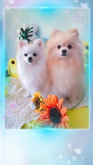 もなかちゃん＆ほのかちゃん♫