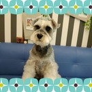 ロコちゃん♫