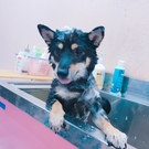 くるみちゃん♫