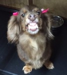 笑顔です(笑)♫