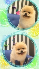 もなかくん♫