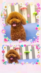 ハッピーちゃん♫