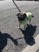 クリくん♫