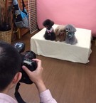 ワンワン撮影会♫